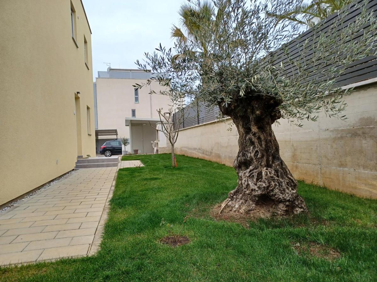 Apartments Leon 2 Novigrad (Istria) Exterior foto